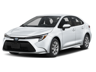 White Corolla Hybrid