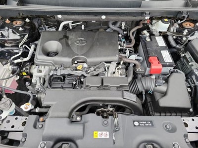 2019 Toyota RAV4 LE