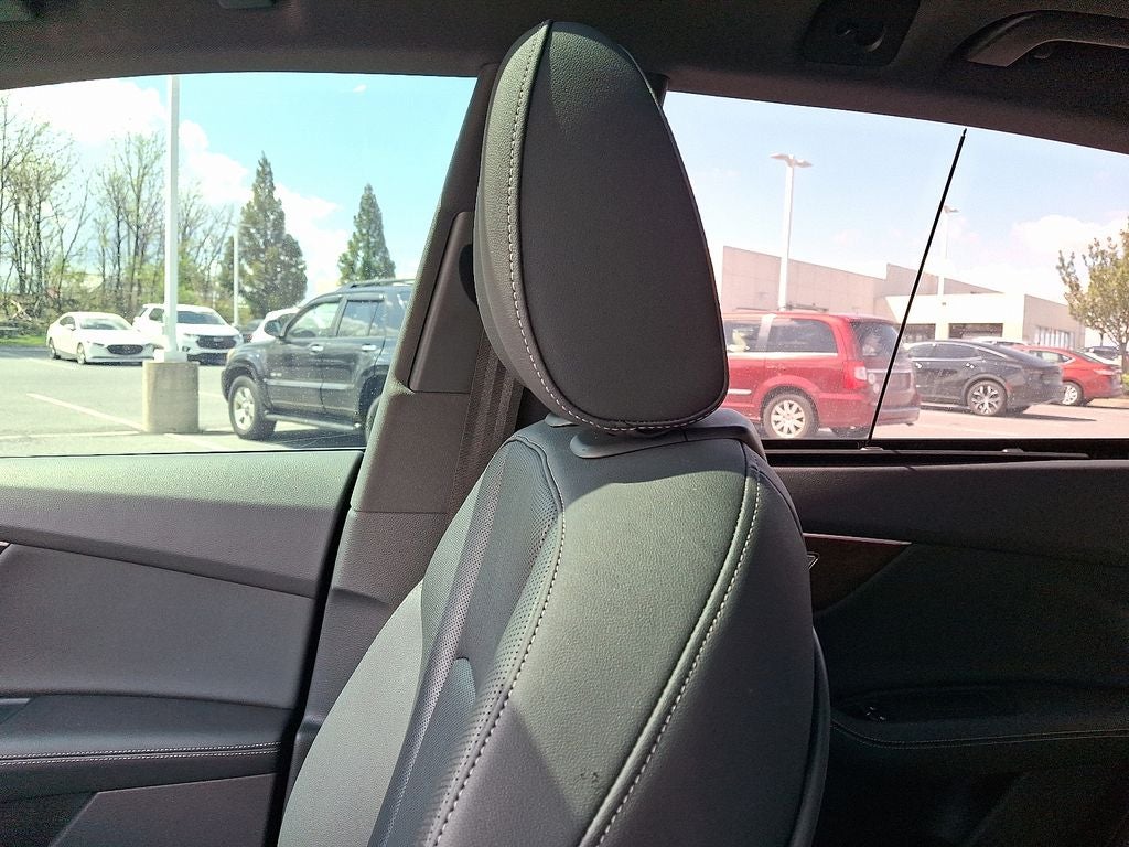 2023 Audi Q8 55 Premium Plus quattro